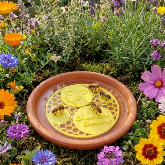 Bienen Bucht Insektentränke: Die nachhaltige Rettungsinsel für durstige Insekten