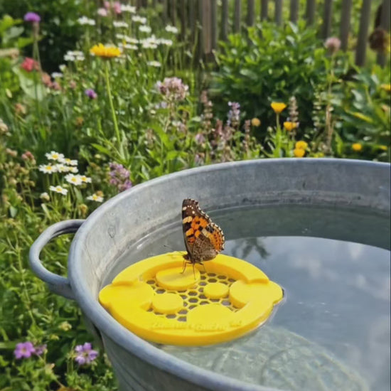 Bienen Bucht 2.0 - Die schwimmende Bieneninsel