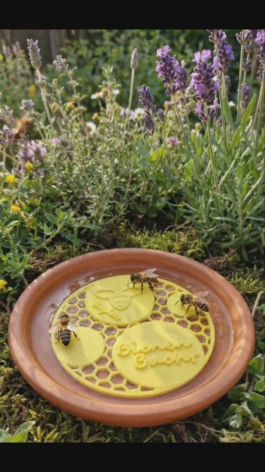 Bienen Bucht Klassik - Die nachhaltige Bieneninsel