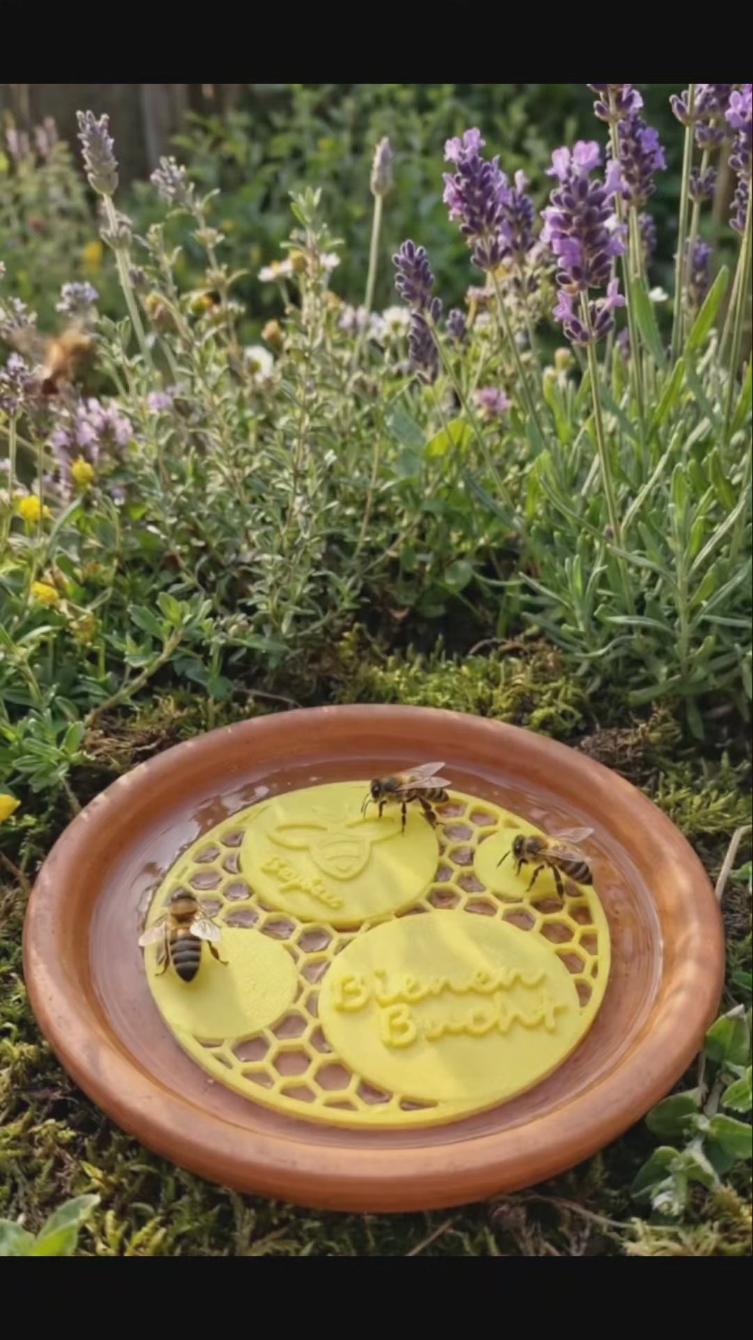 Bienen Bucht Klassik - Die nachhaltige Bieneninsel